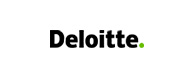 mantenedor-ibefsp-deloitte